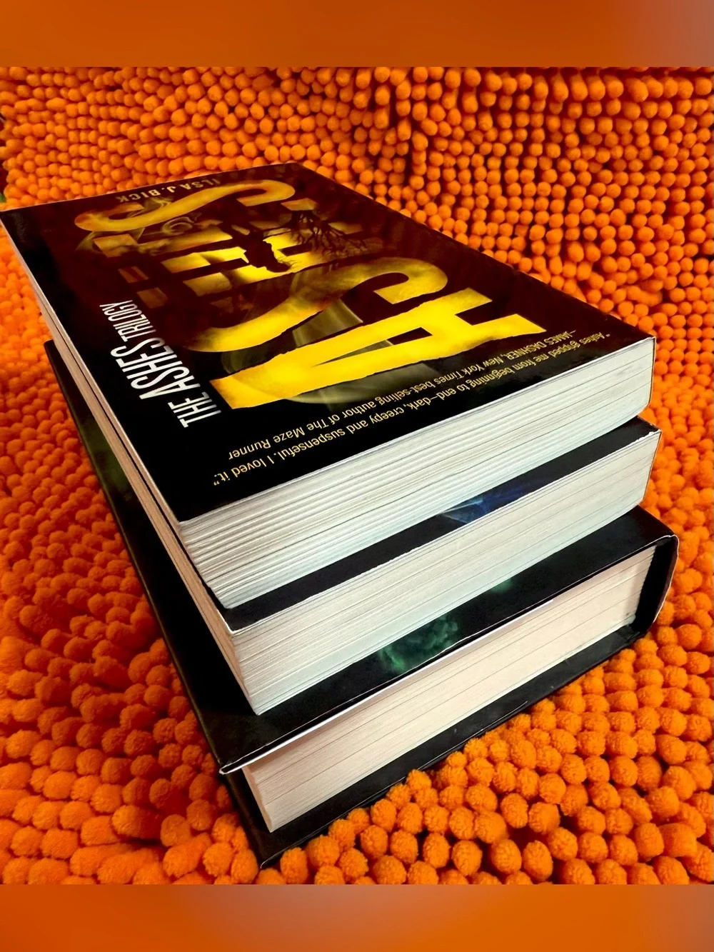 The Ashes Trilogy by author Ilsa J. Bick